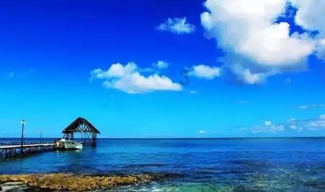 深海鱼救援